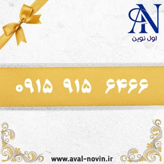 6466   915   0915